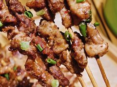 -山野的朋友露营炭火烤肉