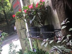 -国生茶庄·地道农家菜团建活动