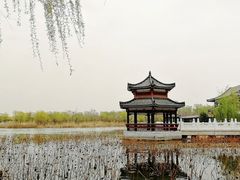 -南湖国家城市湿地公园