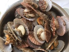 -宾朋海鲜美食特色餐厅·纯手工鲅鱼水饺(兴海路店)