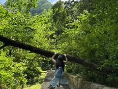 -西安祥峪森林公园