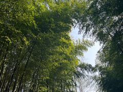 -游子山休闲旅游区
