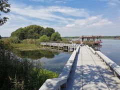 -贡湖湾湿地公园