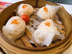 -有心德(麦地店)