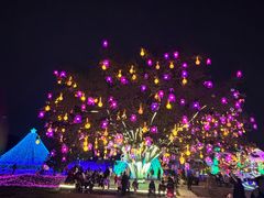 -国际非物质文化遗产博览园