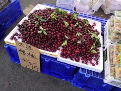 -三旗百汇商品城