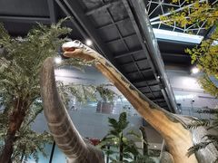 -湖南省地质博物馆