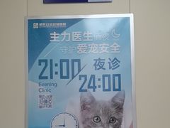 -美联众合爱康动物医院•复杂内科•肿瘤科•牙科•腔镜诊疗中心