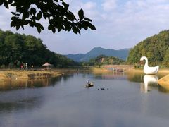 -千岛湖龙川湾