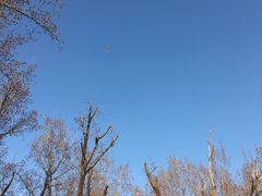 -朝阳公园
