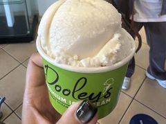 -Dooley's Premium Ice Cream