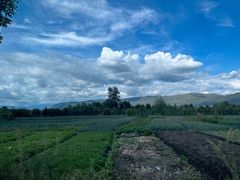 -翠田Green Field Kitchen