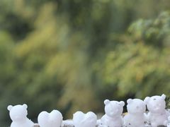 -大围山国家森林公园
