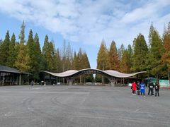 -东平国家森林公园