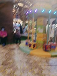 -卡通尼·Safari非洲探索乐园·生日会(金桥国际商业广场店)