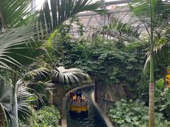 -南宫五洲植物乐园