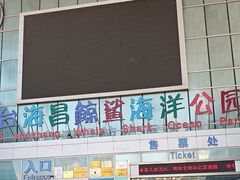 -烟台海昌鲸鲨海洋公园