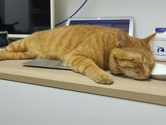 -宠颐生汉谟拉比宠物医院