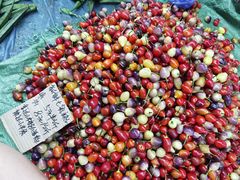 -五里多农博广场