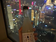 -上海柏悦酒店