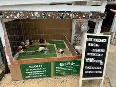 -神户市立六甲山牧场