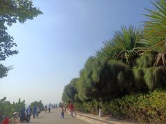 -深圳湾公园(南山区)