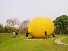 -顺峰山公园