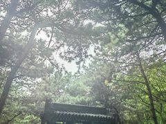 -红螺寺