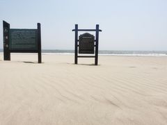 -日照海滨国家森林公园