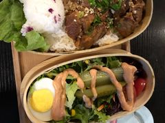 -猫小院猫主题咖啡厅(北锣店)