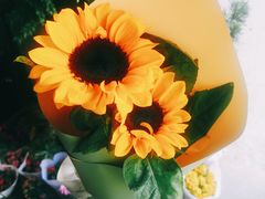 -艾比嘉尔轻奢花店·气球派对(长宁店)