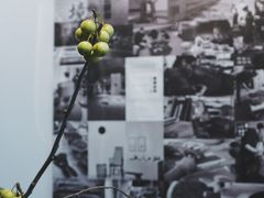 -微焙咖啡工厂(海峡创意产业园·红坊店)