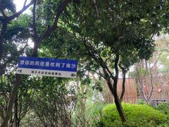 餐饮设施-南沙天后宫景区