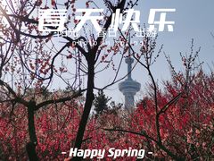 -南京古林公园