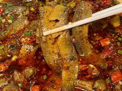 -情妹耙泥鳅·江湖川菜(科华店)