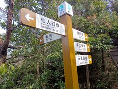 -玉苍山国家森林公园