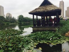 -前关湿地公园
