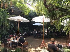景观位-Fern Forest Cafe