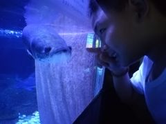 -成都浩海立方海洋公园