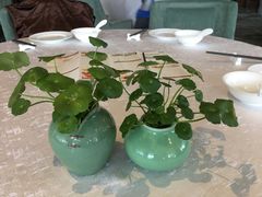 -海湾壹品·粤菜·早茶·烤鸭(拱北店)