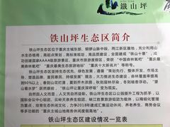 -铁山坪森林公园