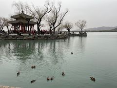 -颐和园