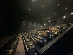 -星河寰宇IMAX影城(星河WORLD·COCO Park店)