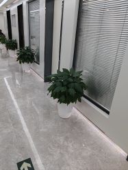 -悟空祛痘·诺奖技术专业店