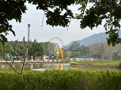 -森波拉奇妙世界