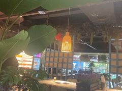 -明洞轩正统韩国自助烤肉大渡口店(新天泽国际广场店)
