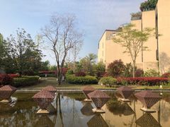 -上海崇明金茂凯悦酒店