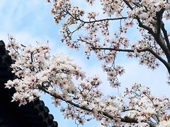 -南京市民俗博物馆(甘熙故居)