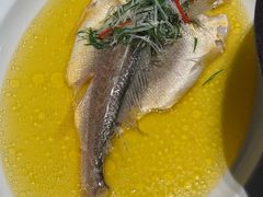 鸡汁蒸黄鱼-秀儿四九城·新京菜(亚运村鸟巢店)