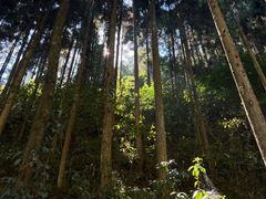-刘伯温故里景区百丈漈